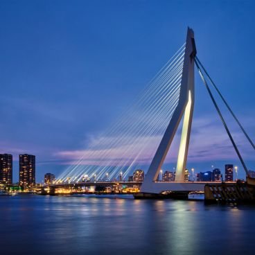 Study in Netherland